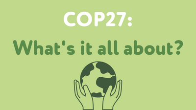 COP27: What's it all about?