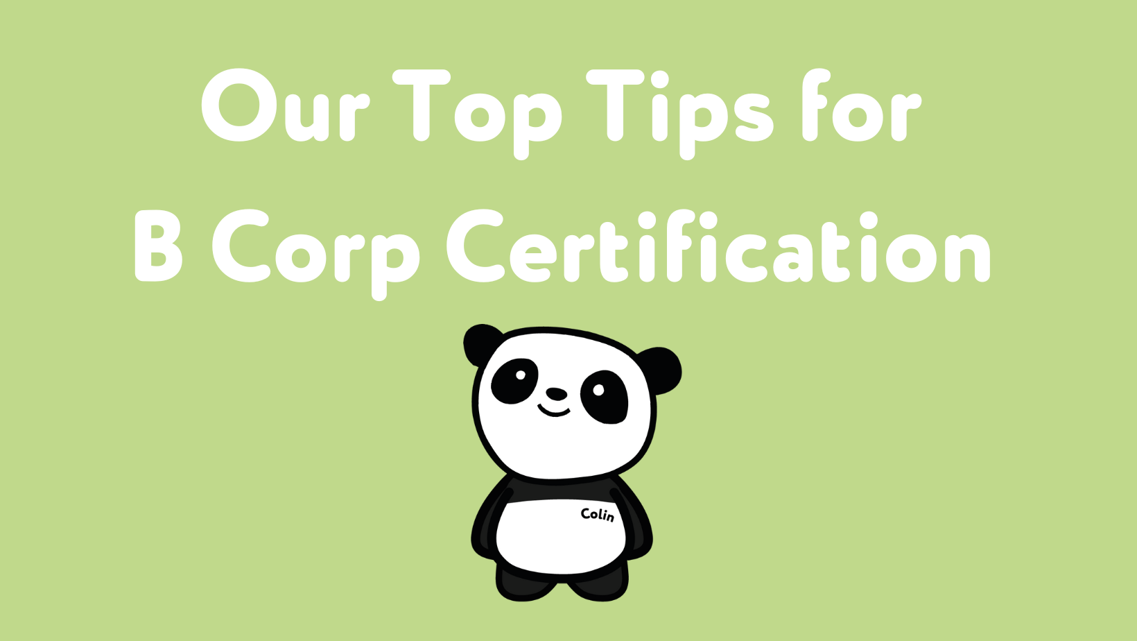 Our Top Tips For B Corp Certification – The Cheeky Panda