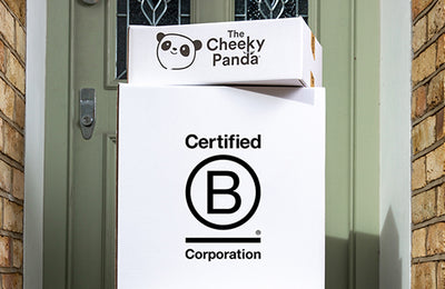 What does it actually mean to be a B Corp?