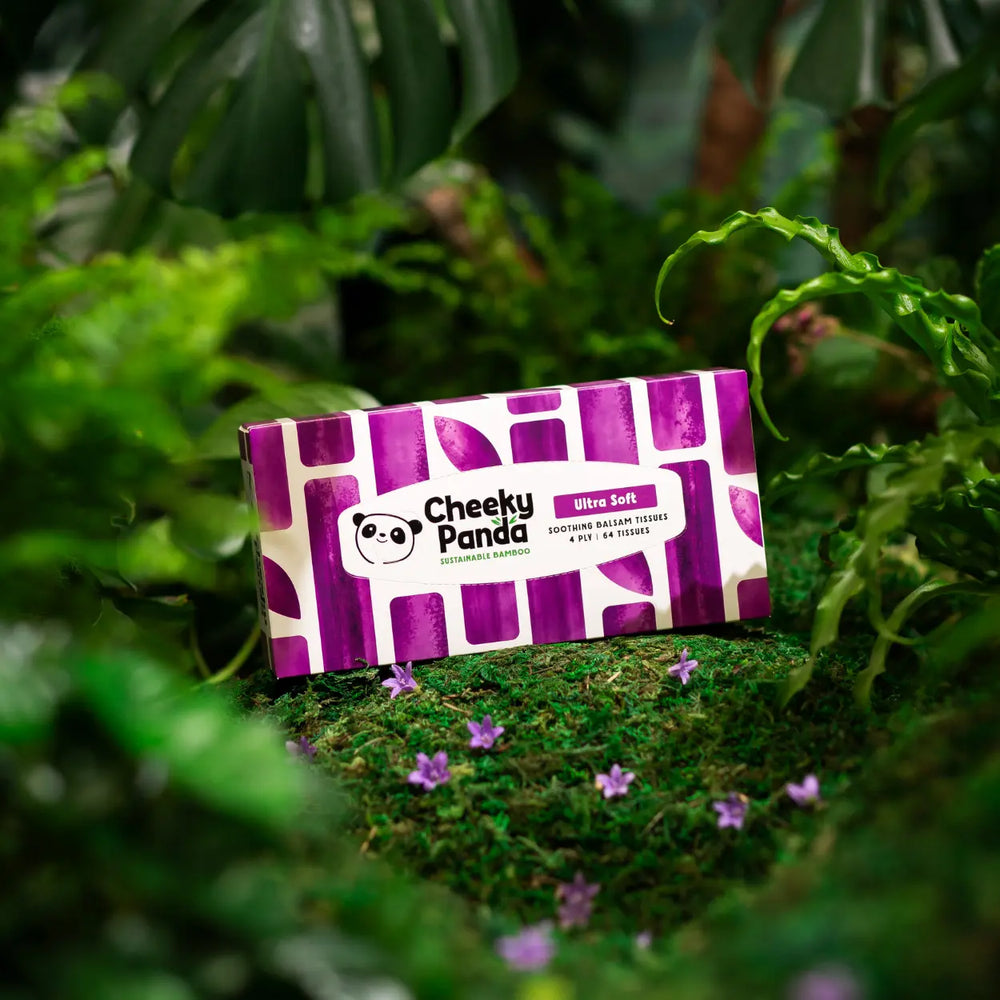 Cheeky Panda balsam tissue box in a natural setting with green foliage and purple flowers.