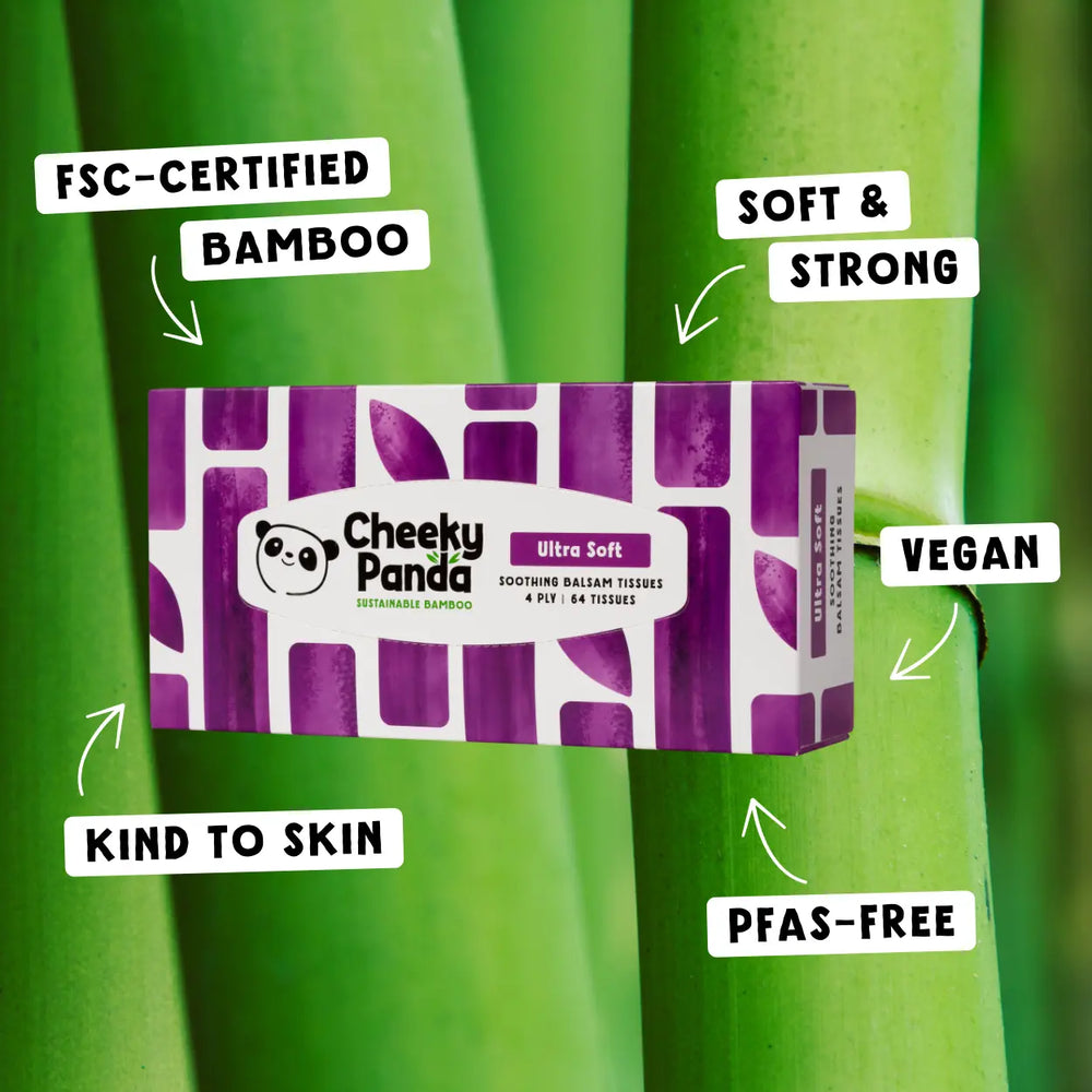 Cheeky Panda balsam tissue box with green bamboo stalks in the background