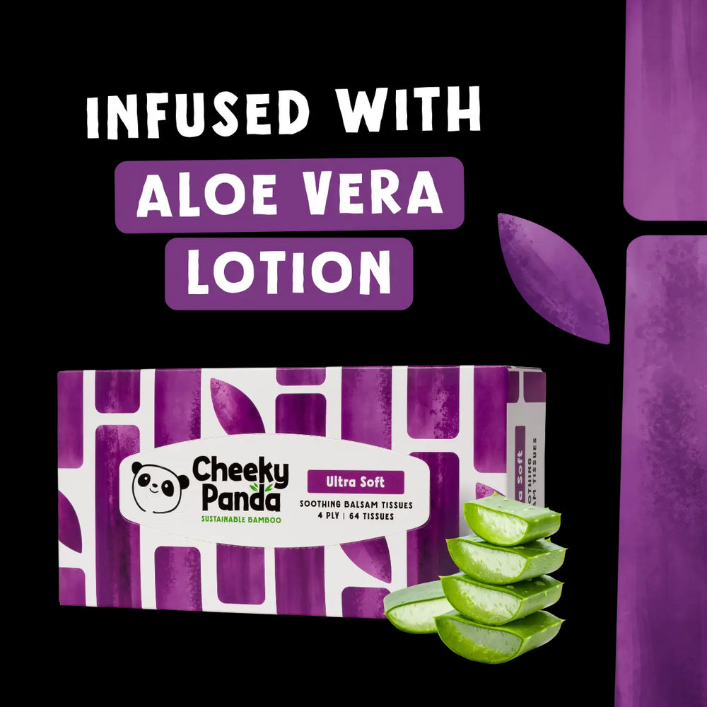 Box of Cheeky Panda balsam tissues with aloe vera slices on a white background