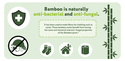  Bamboo is naturally anti-bacterial and anti-fungal. It has been used to make fibres for clothing such as the same anti-bacterial and anti- fungal properties socks. These bamboo socks benefit from having of the Bamboo plant.
