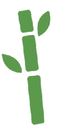 Magically GROWS ITSELF BACK after harvest! Magically GROWS ITSELF BACK after harvest!