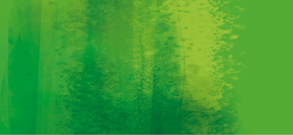 Why Bamboo? Why Bamboo?