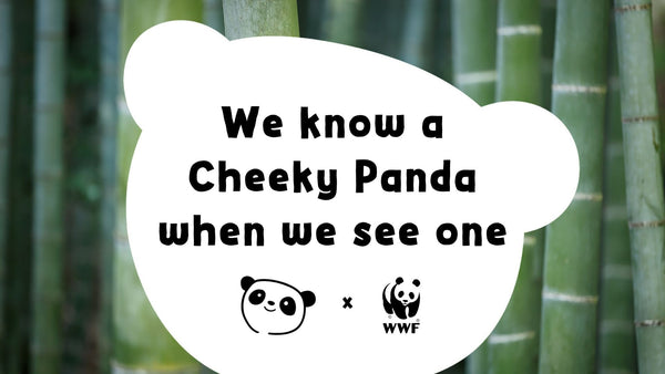 Our partnership with WWF
