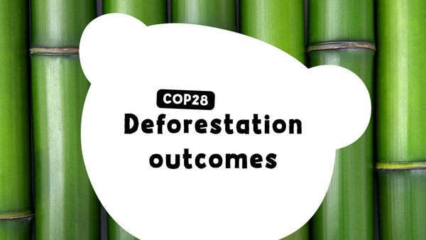 COP28: Deforestation Outcomes