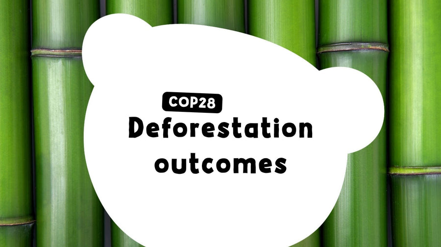 COP28: Deforestation Outcomes