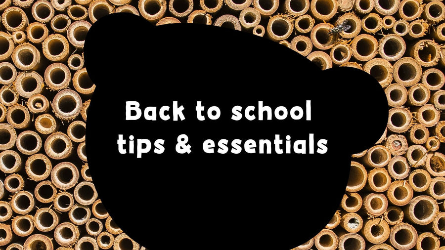 Back to school sustainable tips & essentials