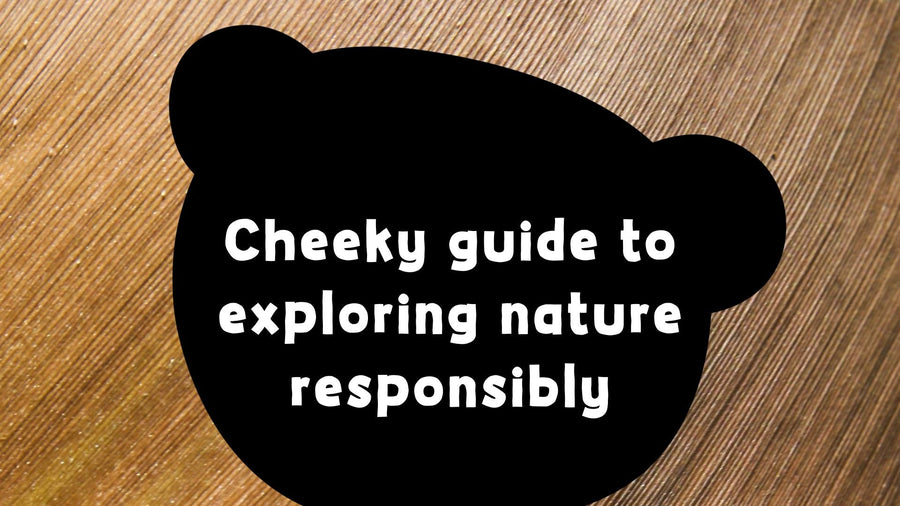 How to Explore Nature Responsibly this Summer