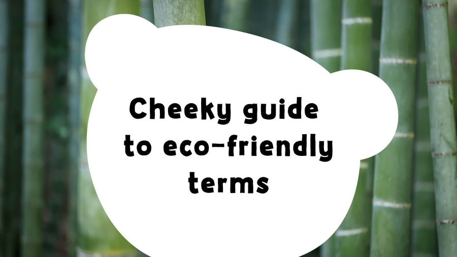 A Guide to Eco-friendly Terms