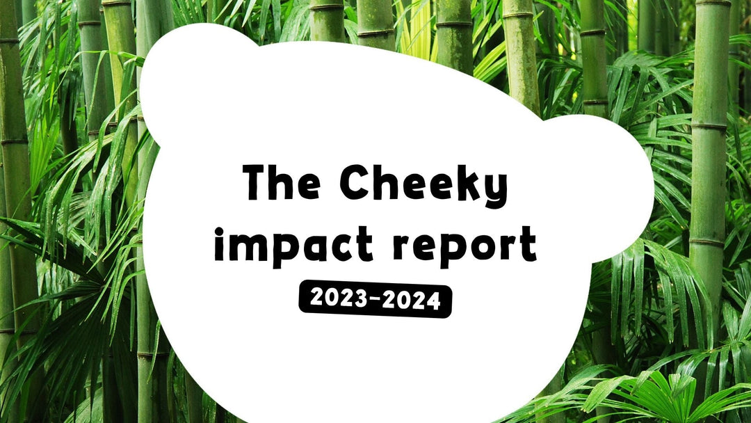 Impact Report 2023-24
