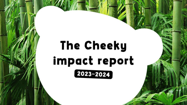 Impact Report 2023-24