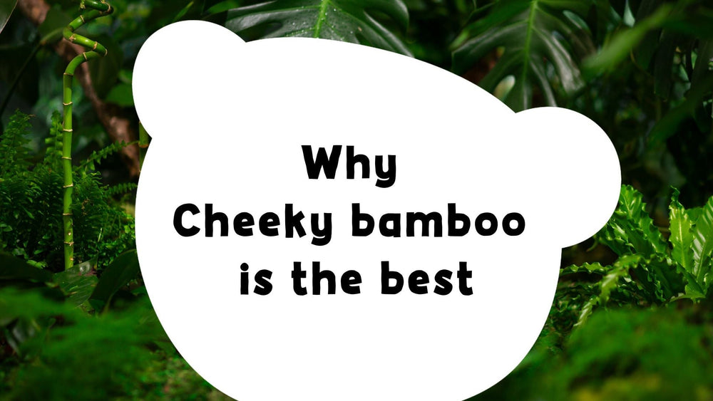 What makes Cheeky Panda's bamboo special?