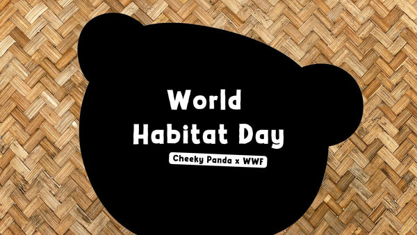 World Habitat Day: The Cheeky Panda and WWF