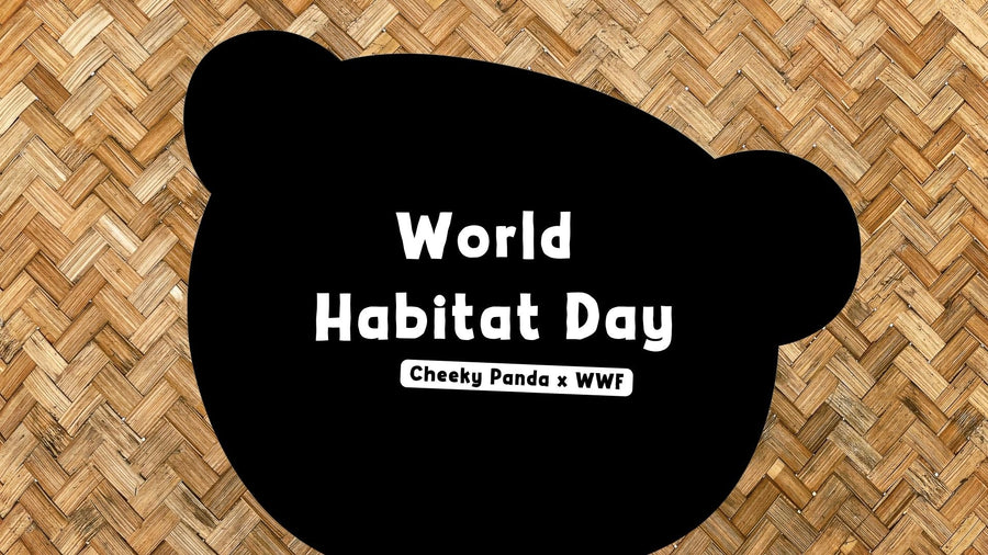 World Habitat Day: The Cheeky Panda and WWF