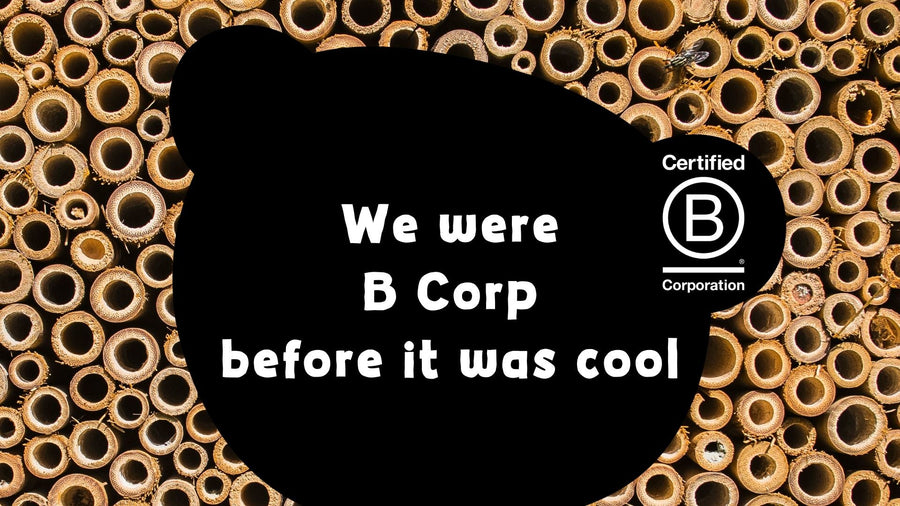 B Corp Month – Why We’re Proud to Be Part of Gen B