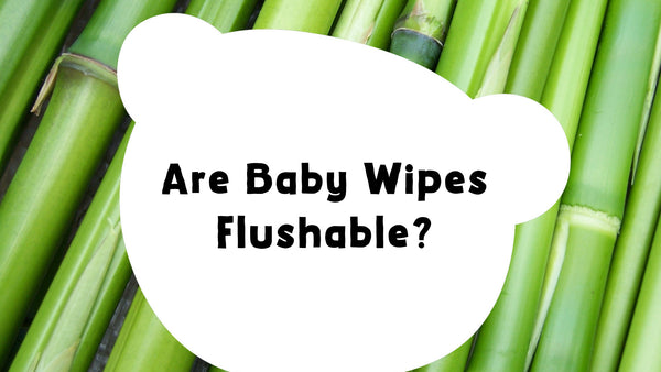 Are Baby Wipes Flushable?