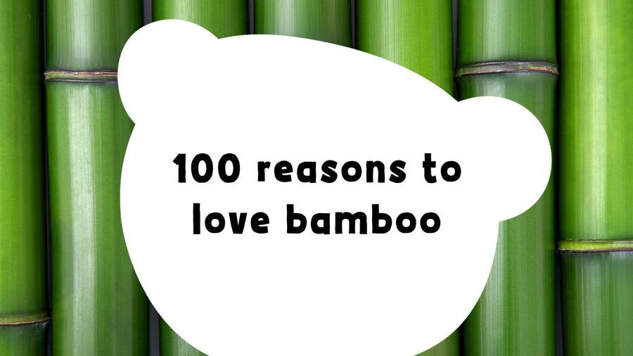 100 Cheeky Bamboo Benefits