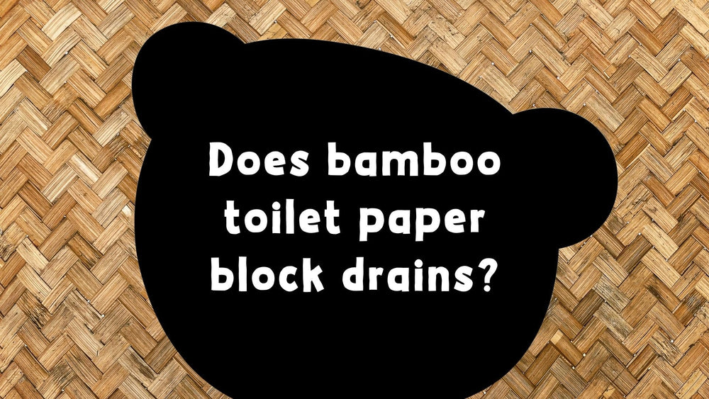 Does Bamboo Toilet Paper Block Drains?