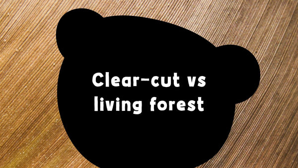 Clear Cut vs. Living Forests