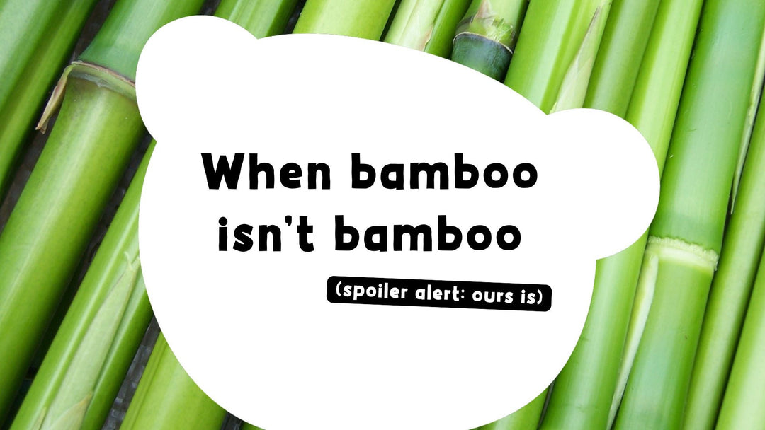 When Bamboo isn't Bamboo (but don't worry, ours is!)