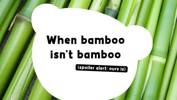 When Bamboo isn't Bamboo (but don't worry, ours is!)