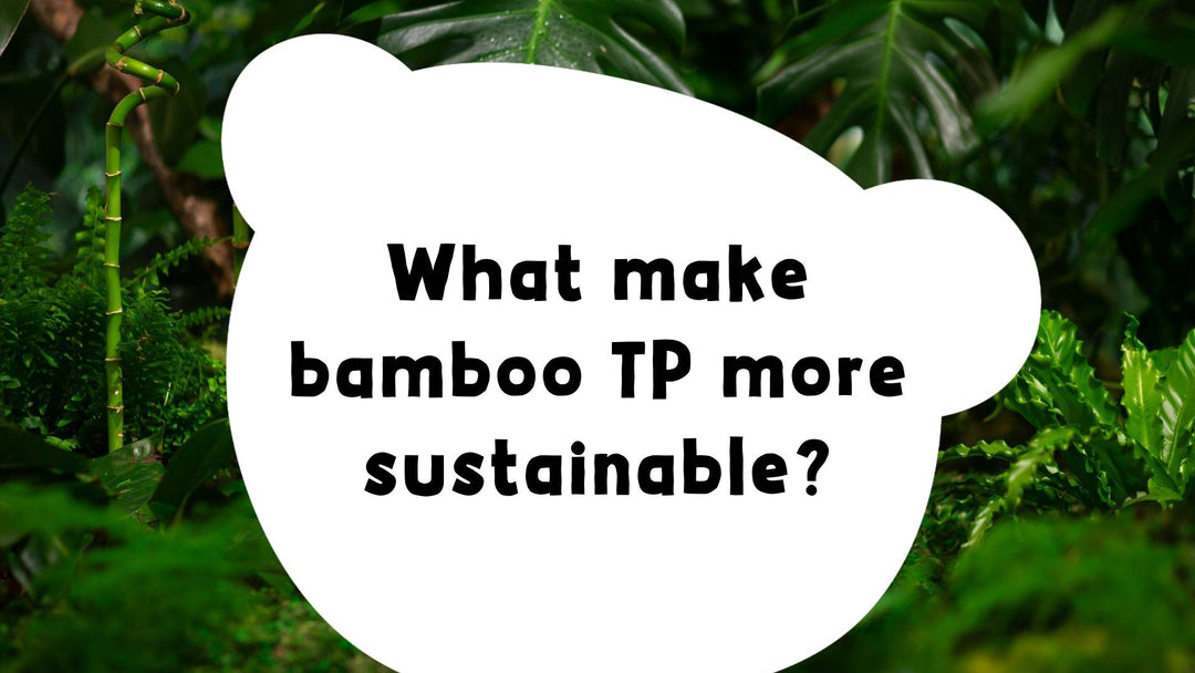 Why is Bamboo Toilet Paper the Most Sustainable Choice?