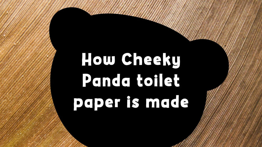 How our bamboo toilet paper is made