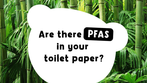 Are There PFAS in Your Toilet Paper? What Eco-Friendly Families Need to Know