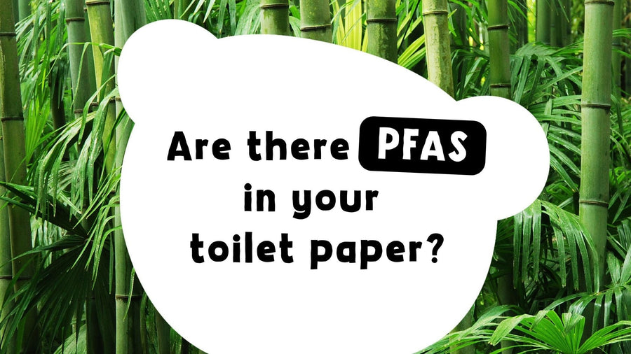 Are There PFAS in Your Toilet Paper? What Eco-Friendly Families Need to Know