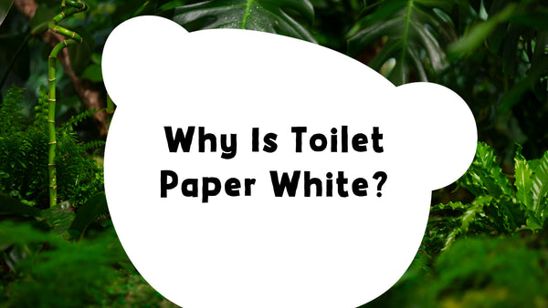 Why Is Toilet Paper White?