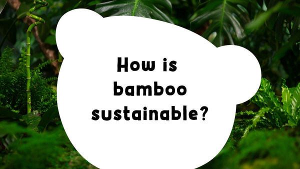 How is bamboo sustainable?
