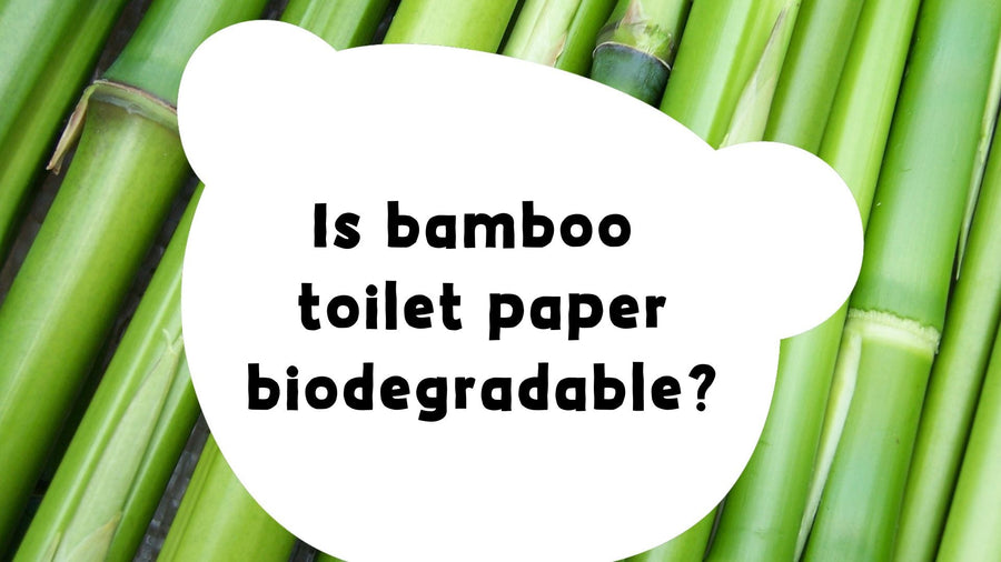 Is toilet paper biodegradable? & which is the most eco-friendly?