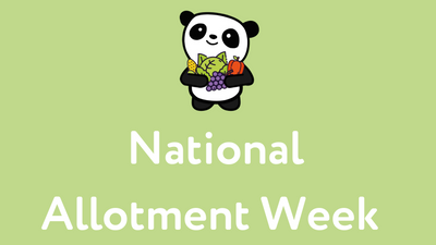 A green-fingered guide to gardening (National Allotment Week!)