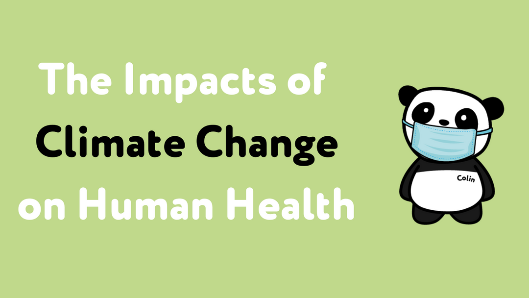 The Impacts of Climate Change on Human Health