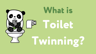 What is Toilet Twinning?