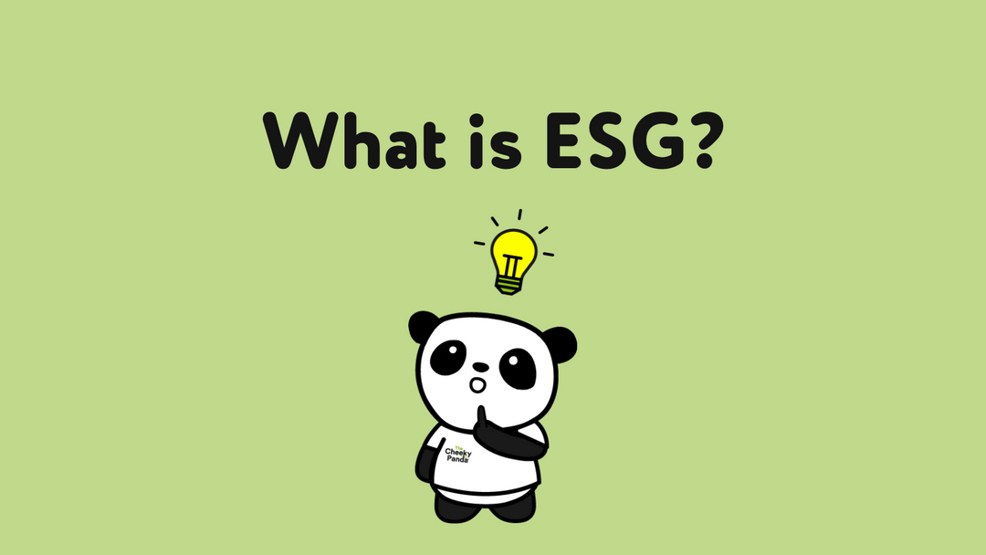 What is ESG?