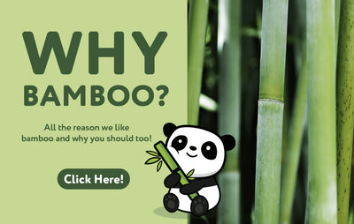 How is Bamboo sustainable?