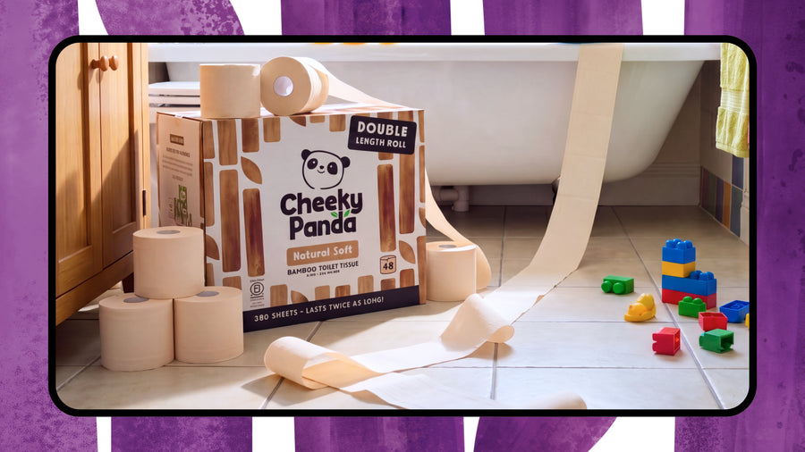 What toilet paper offers the best value in the UK?