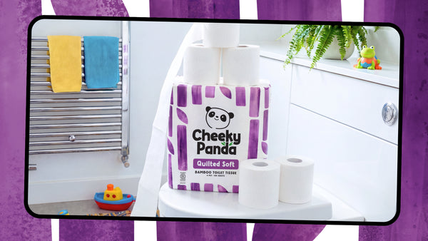 Why Is Toilet Paper White?