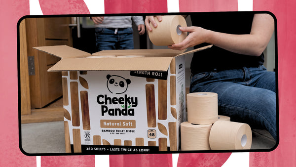 Eco-friendly toilet paper, explained.