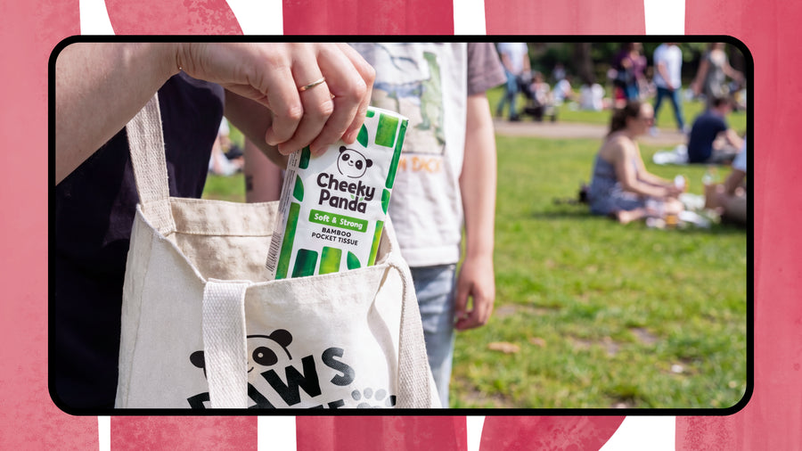 Go Plastic-Free This July: 4 Bathroom Swaps to Start With