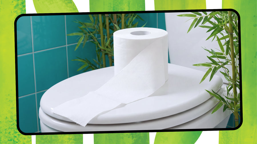 Does Bamboo Toilet Paper Really Clog Your Toilet? The Truth About the Plumbing Myth