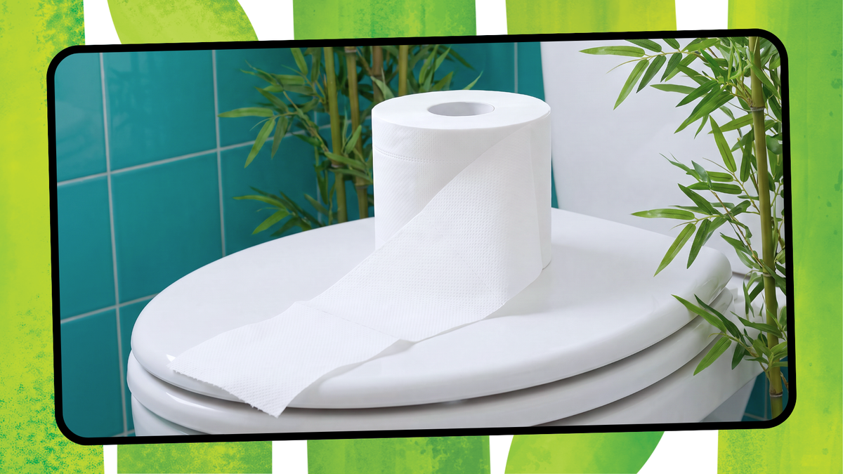 Does Bamboo Toilet Paper Really Clog Your Toilet? The Truth About the Plumbing Myth