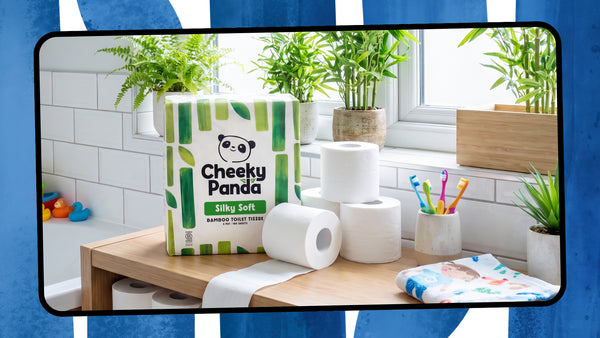 How Bamboo Toilet Paper Is Made: From Forest to Bathroom