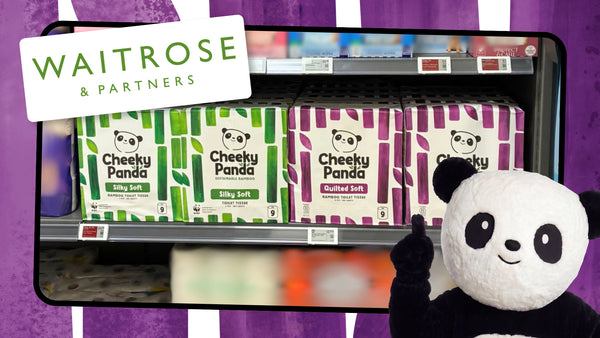 From the Bottom Shelf to Launching 4ply with Waitrose