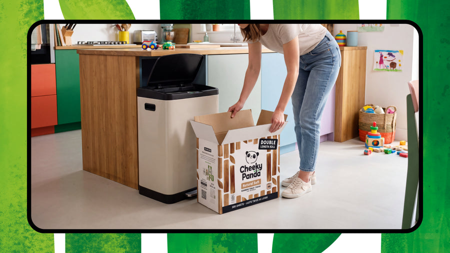 Recycle Week: Small Swaps, Big Impact