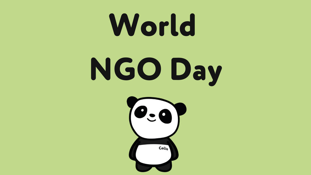 World NGO Day