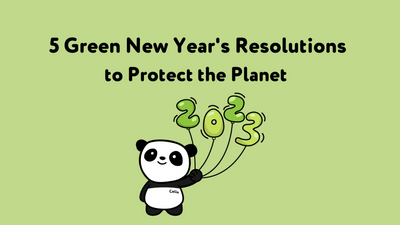 5 Green New Year's Resolutions